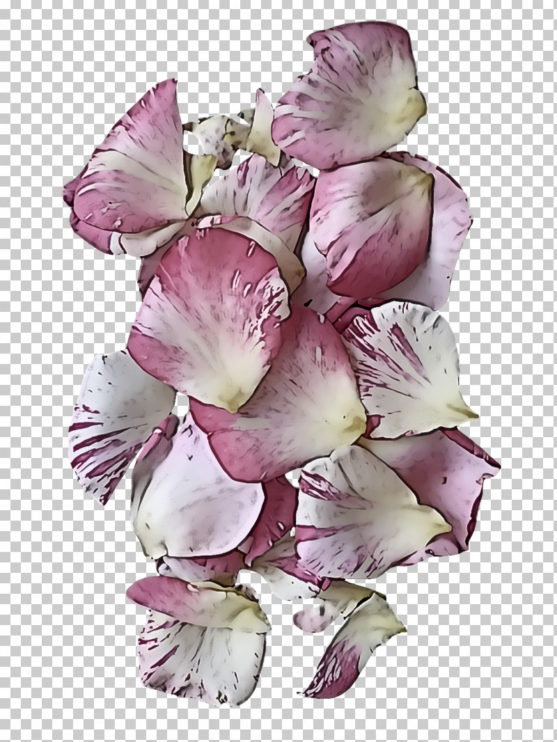 Floral Design PNG, Clipart, Cut Flowers, Floral Design, Floral Frame, Flower, Flower Bouquet Free PNG Download