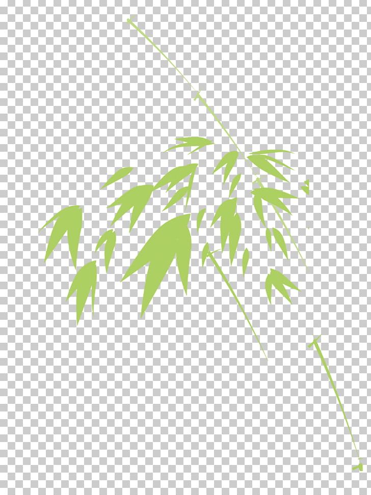 Bamboo Green Leaf PNG, Clipart, Bamboe, Bamboo, Bamboo Leaves, Branch, Decorative Free PNG Download
