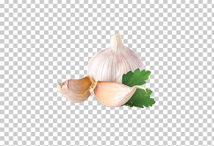 Garlic Spice Herb Food Mincing PNG, Clipart, Clove, Cooking, Flavor, Food, Food Drying Free PNG Download