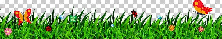 Grass Lawn PNG, Clipart, Artificial Grass, Cartoon Grass, Computer Wallpaper, Creative Grass, Download Free PNG Download