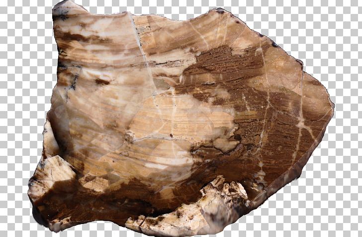 Mineral Geology Igneous Rock Agate PNG, Clipart, Agate, Com, Concrete Slab, Fossil, Geology Free PNG Download