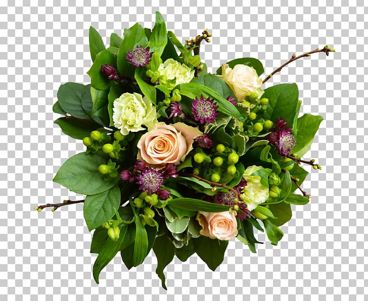 Floral Design Cut Flowers Flower Bouquet Great Masterwort PNG, Clipart,  Free PNG Download