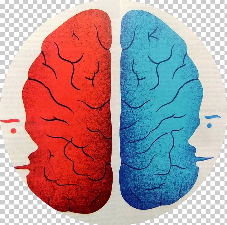 France Split-brain French Perception PNG, Clipart, Brain, Cerebral Hemisphere, Consciousness, Corpus, Curious Free PNG Download