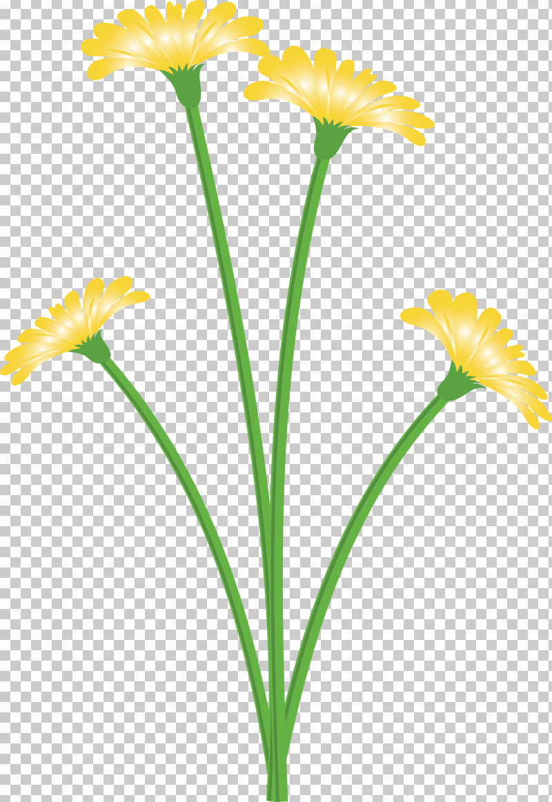 Dandelion Flower PNG, Clipart, Biology, Common Daisy, Cut Flowers, Daffodil, Daisy Family Free PNG Download
