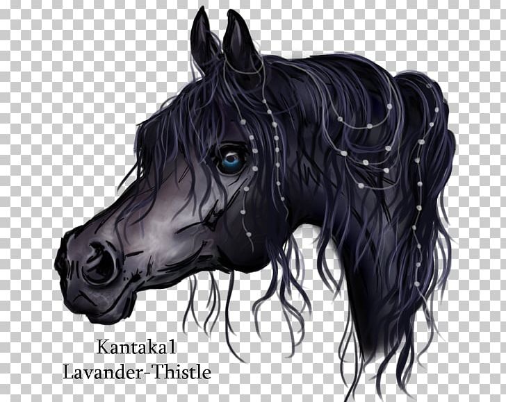 Arabian Horse Mane Mustang American Quarter Horse Stallion PNG, Clipart, Arabian Horse, Black, Black Pearl, Bridle, Crit Free PNG Download