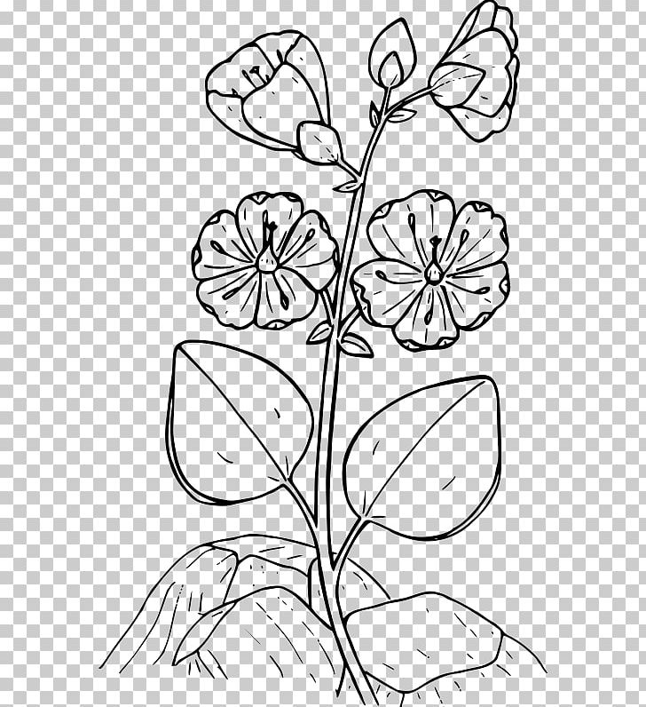 Floral Design Computer Icons PNG, Clipart, Beauty, Black And White, Branch, Coloring Book, Computer Icons Free PNG Download