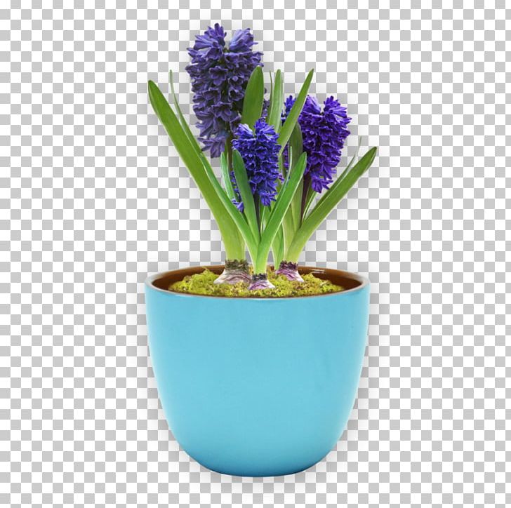 Flowerpot Grape Hyacinth Ceramic Blume Plant PNG, Clipart, Blume, Ceramic, Cobalt Blue, Flower, Flowering Plant Free PNG Download