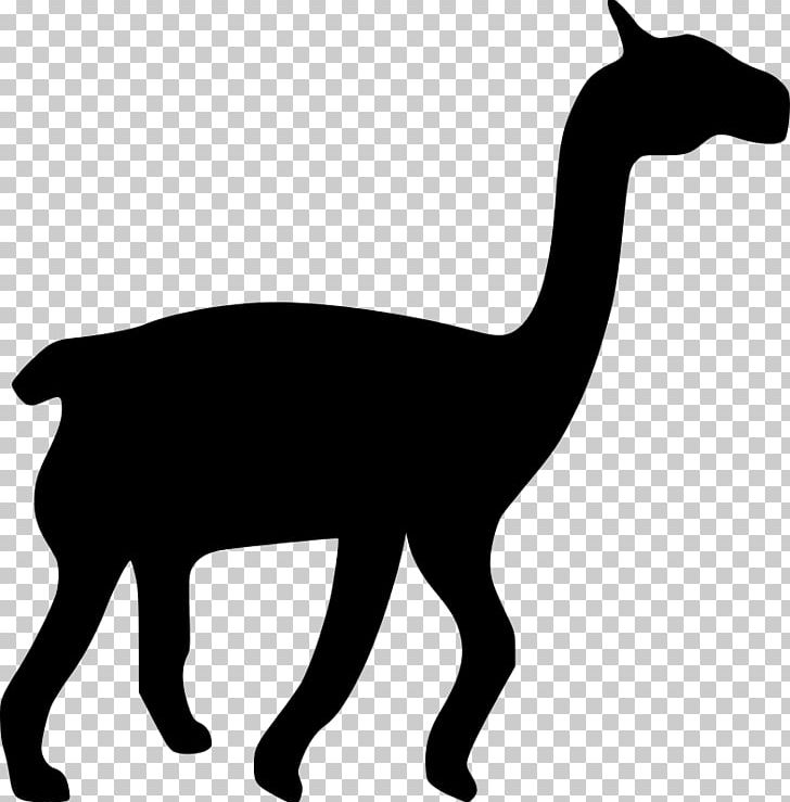 Llama Silhouette Drawing PNG, Clipart, Animal, Animal Figure, Animals, Black And White, Camel Free PNG Download