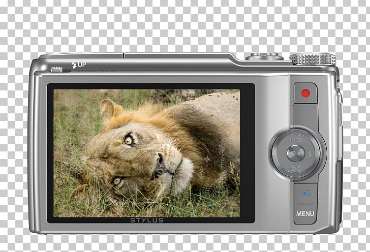 Point-and-shoot Camera Olympus Stylus SH-60 16 Mp PNG, Clipart, 16 Mp, Big Cats, Camera, Cameras Optics, Cat Like Mammal Free PNG Download