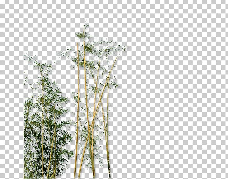 Bamboo Garden PNG, Clipart, Bamboo Frame, Bamboo Leaf, Bamboo Leaves, Bamboo Tree, Bamboo Vector Free PNG Download