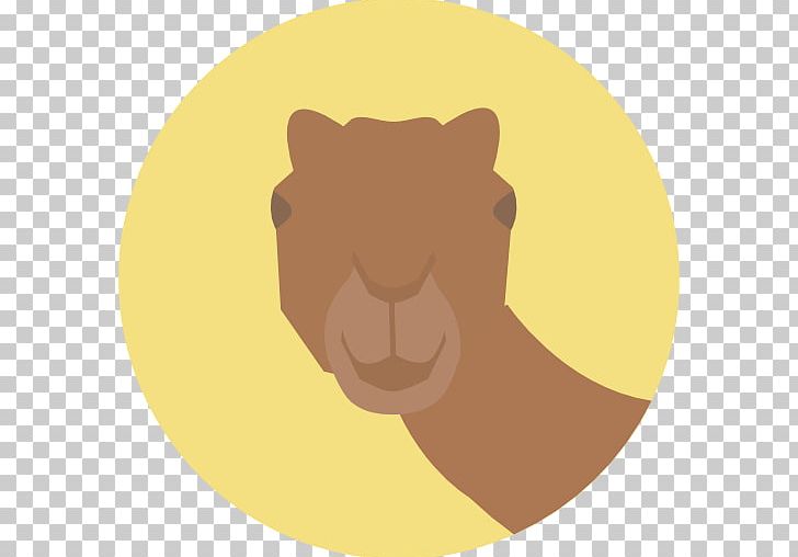 Computer Icons Camel Encapsulated PostScript PNG, Clipart, Animal, Animals, Big Cats, Camel, Carnivoran Free PNG Download