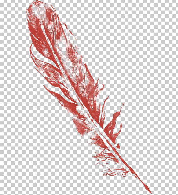 Feather Bird Drawing PNG, Clipart, Animals, Art, Bird, Decoration, Drawing Free PNG Download