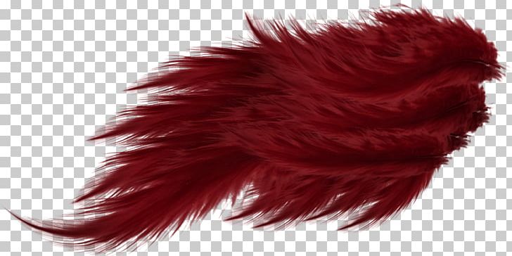 Red Feather Wing PNG, Clipart, Animals, Beautiful, Beautiful Feathers, Beauty, Beauty Salon Free PNG Download