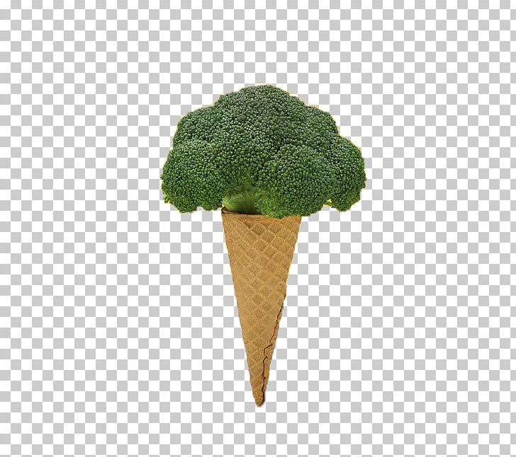 Ice Cream Vegetable Broccoli PNG, Clipart, Broccoli 0 0 3, Broccoli Art, Broccoli Dog, Broccoli Sketch, Broccoli Sprout Free PNG Download