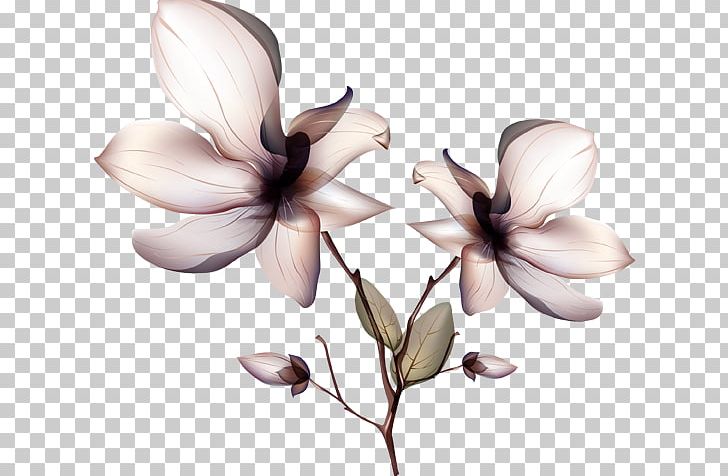 Orchids Flower PNG, Clipart, Art, Blossom, Cut Flowers, Drawing, Encapsulated Postscript Free PNG Download