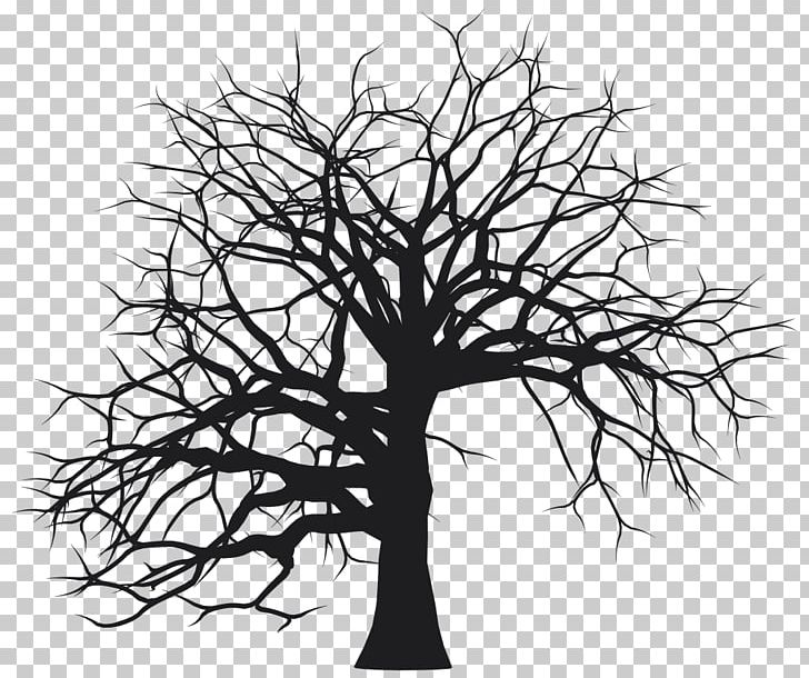 Silhouette Tree Branch Png Clipart Animals Black And White Branch Drawing Flower Free Png Download