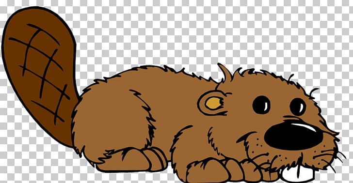The Sign Of The Beaver PNG, Clipart, Animal, Animals, Bear, Beaver, Carnivoran Free PNG Download