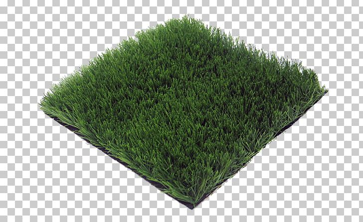 Artificial Turf Lawn Floor Prato Price PNG, Clipart, Artificial Turf, Carpet, Evergreen, Floor, Furniture Free PNG Download