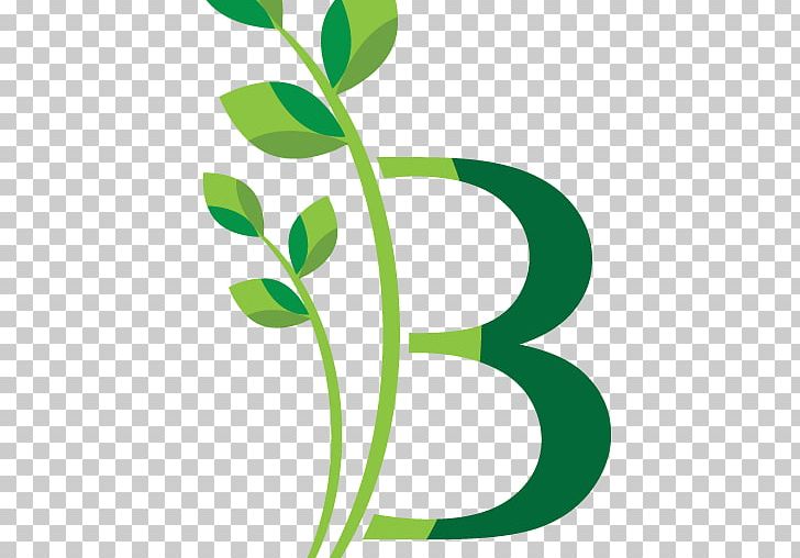 Leaf Plant Stem Brand Flower PNG, Clipart, Accreditation, Brand, Flower, Grass, Green Free PNG Download