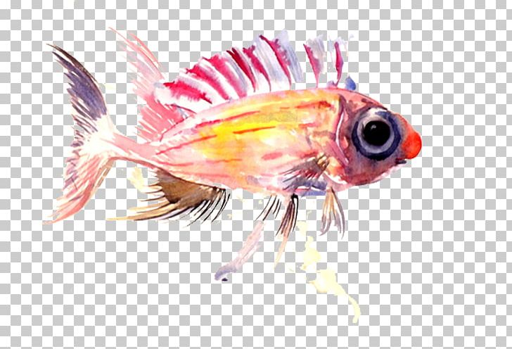 Pink Fish PNG, Clipart, Adobe Illustrator, Animal, Animals, Beak, Blue Free PNG Download
