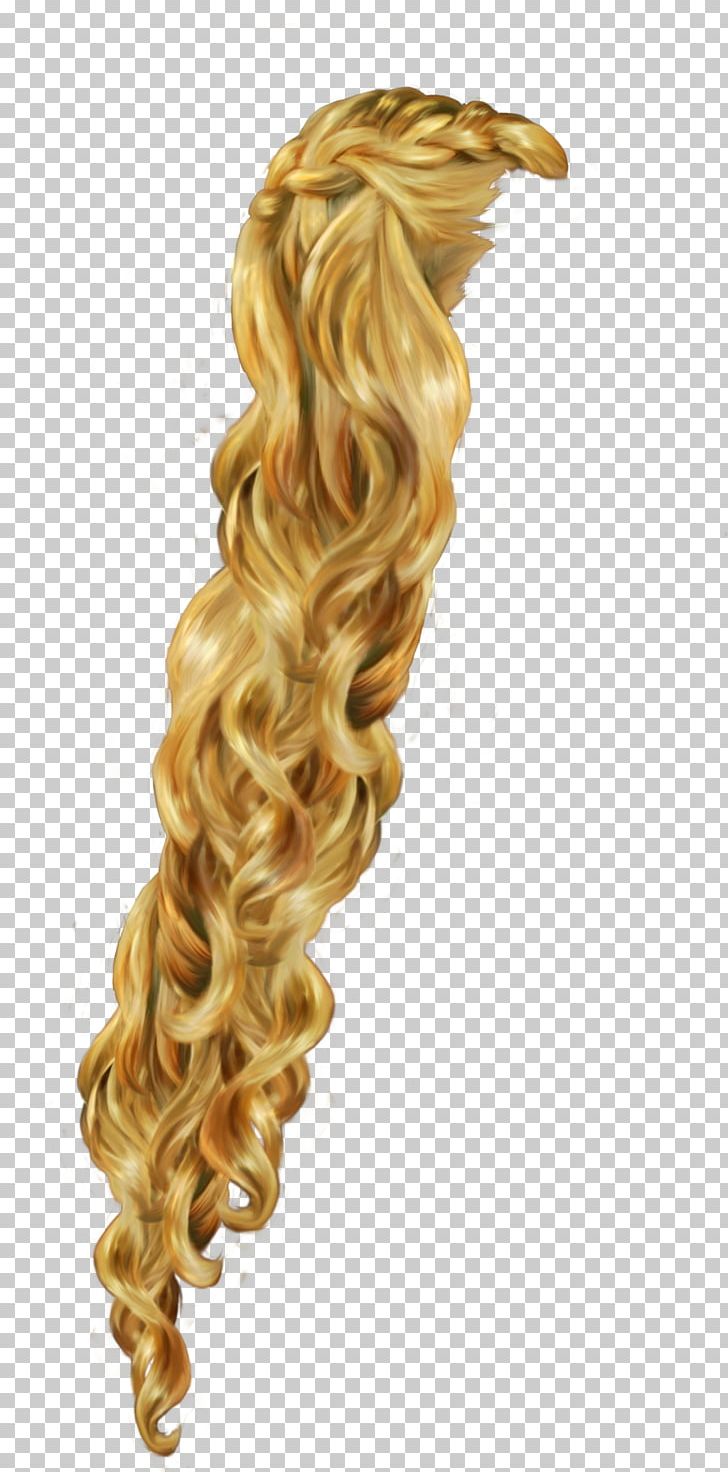 Rapunzel Hairstyle