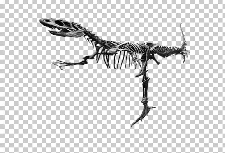 Reptile Tyrannosaurus Legendary Creature Branching Skeleton PNG, Clipart, Black And White, Branch, Branching, Forest, Legendary Creature Free PNG Download