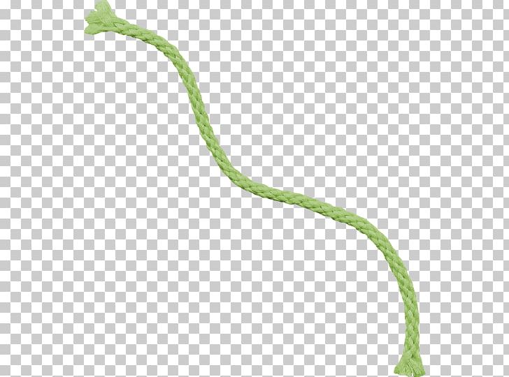 Rope Line PNG, Clipart, Garden, Gnome, Grass, Line, Plant Stem Free PNG Download