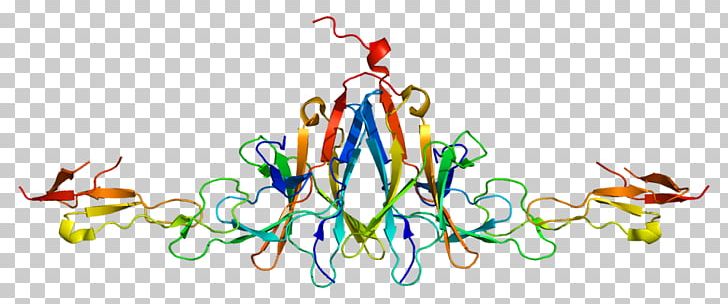 BTLA Protein Receptor Cluster Of Differentiation UniProt PNG, Clipart, Artwork, Cluster Of Differentiation, Computer Wallpaper, Gene, Gnu Free PNG Download