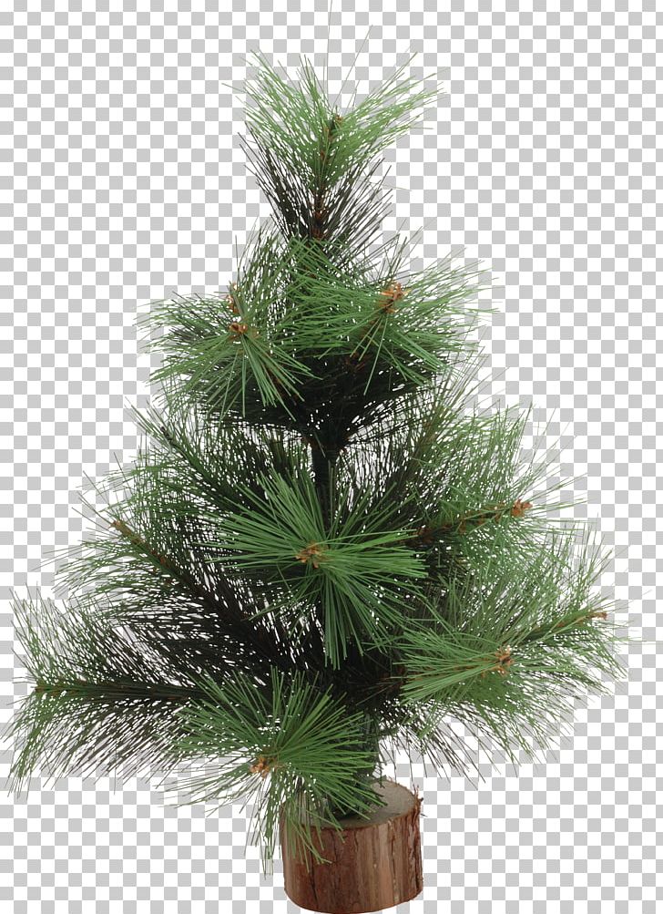 Christmas Tree New Year Tree Spruce Pine Christmas Ornament PNG, Clipart, Branch, Christmas, Christmas Decoration, Christmas Ornament, Christmas Tree Free PNG Download