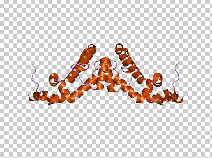 Rgs7 Regulator Of G Protein Signaling Gene PNG, Clipart, 2 A, Body Jewellery, Body Jewelry, Brain, Domain Free PNG Download