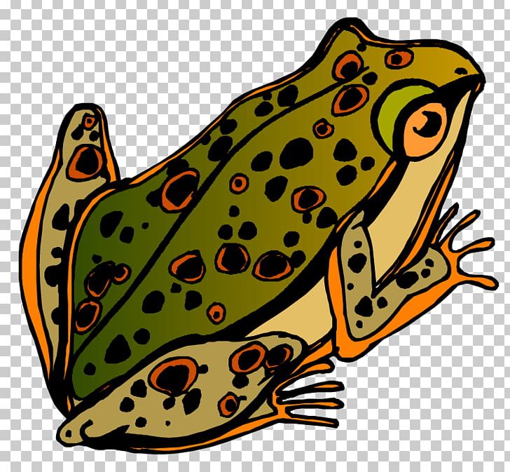 Toad Blog PNG, Clipart, American Toad, Amphibian, Black And White, Blog, Cartoon Free PNG Download