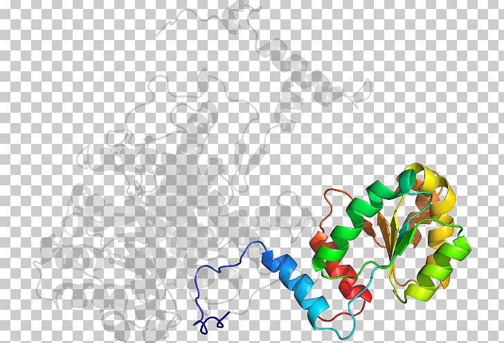 Tree PNG, Clipart, Area, Line, Methylmalonylcoa Mutase, Nature, Organism Free PNG Download