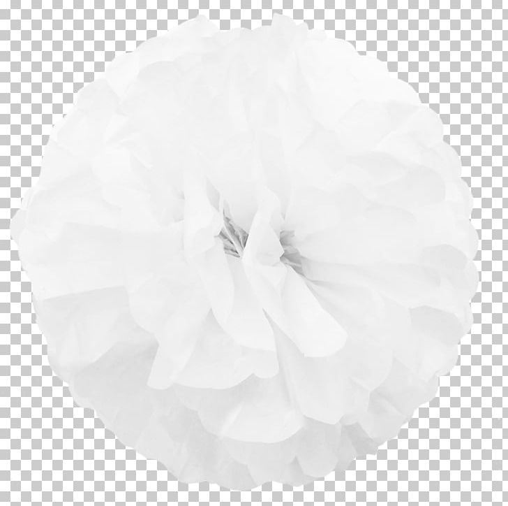 White PNG, Clipart, Black And White, Flower, Monochrome, Monochrome Photography, Others Free PNG Download