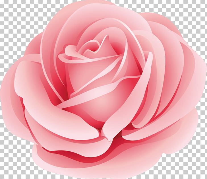 Graphics Flower Illustration PNG, Clipart, Closeup, Cut Flowers, Encapsulated Postscript, Flower, Flower Bouquet Free PNG Download