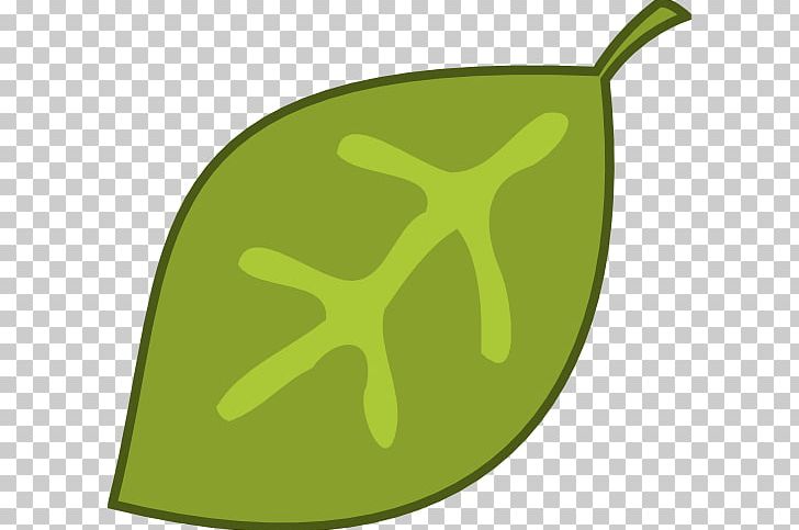 Leaf Green PNG, Clipart, Autumn Leaf Color, Cartoon, Color, Drawing, Food Free PNG Download