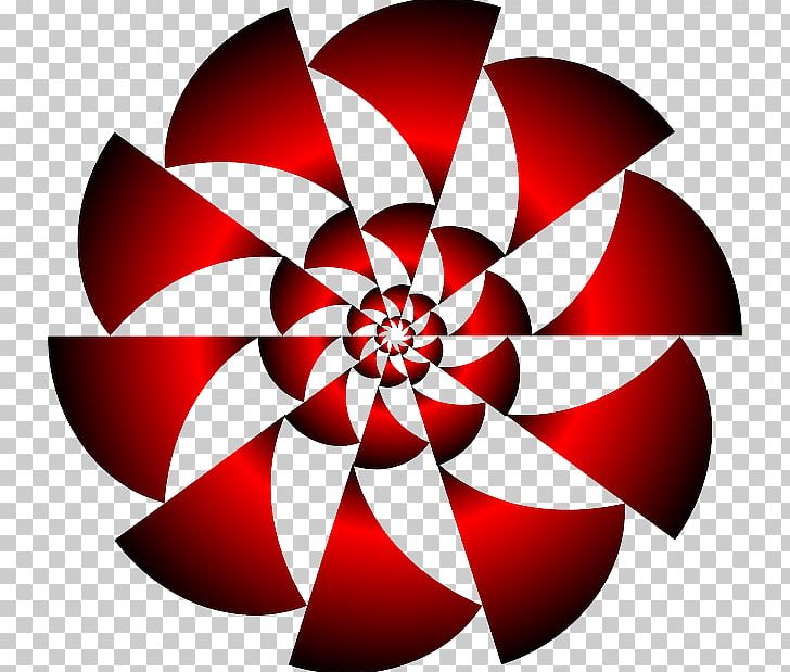 Rotational Symmetry Reflection Symmetry Point Reflection PNG, Clipart, Circle, Flora, Flower, Flowering Plant, Geometry Free PNG Download