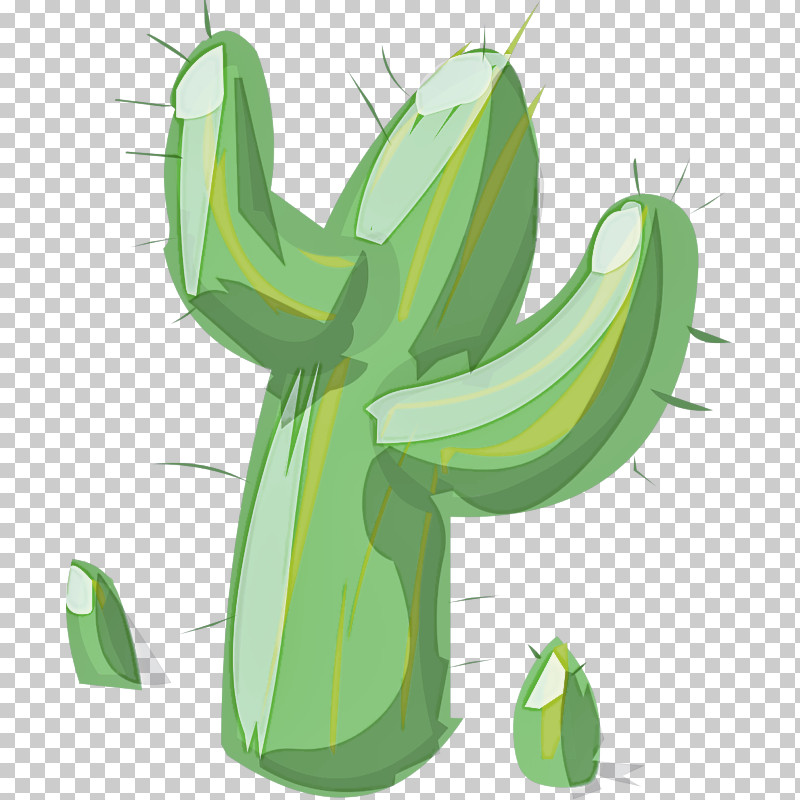 Cactus PNG, Clipart, Cactus, Flower, Green, Plant Free PNG Download