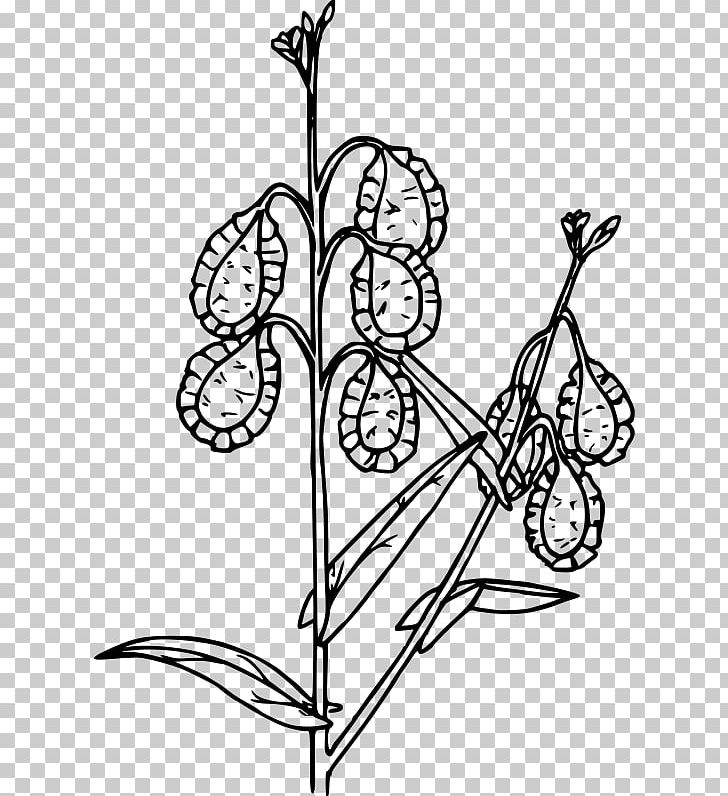 Art Drawing PNG, Clipart, Area, Art, Black And White, Branch, Drawing Free PNG Download