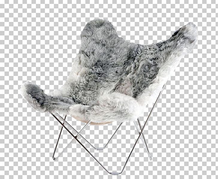 Butterfly Chair Wing Chair Iceland Leather PNG, Clipart, Bont, Butterfly Chair, Cantilever Chair, Chair, Fur Free PNG Download