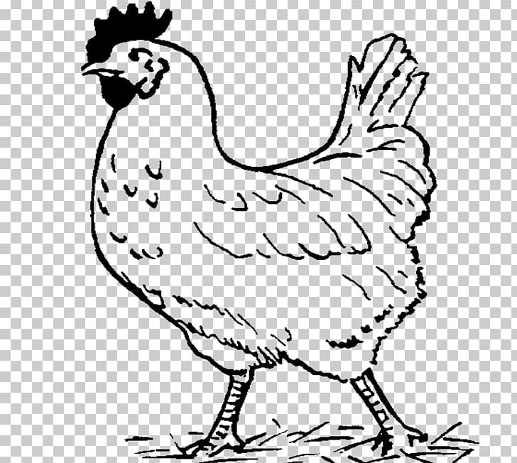 Chicken Black And White PNG, Clipart, Animal Figure, Animals, Art, Artwork, Beak Free PNG Download