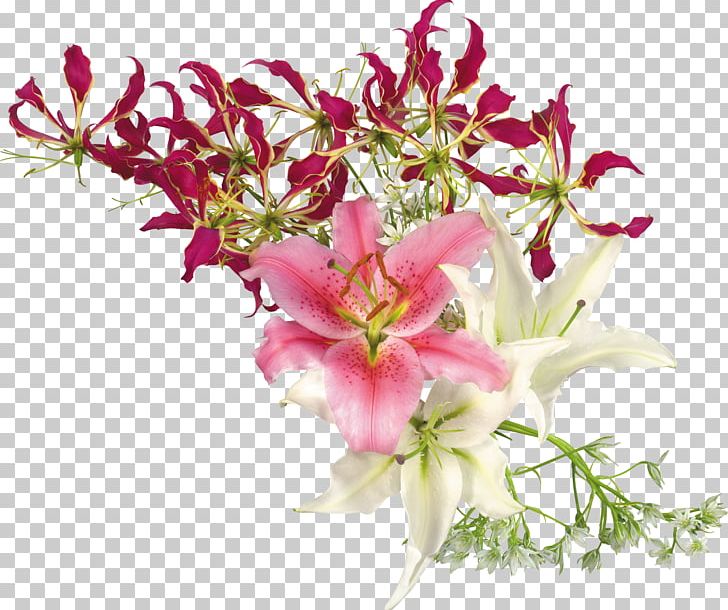 Flower Lilium Stamen PNG, Clipart, Cut Flowers, Desktop Wallpaper, Digital Image, Floral Design, Floristry Free PNG Download