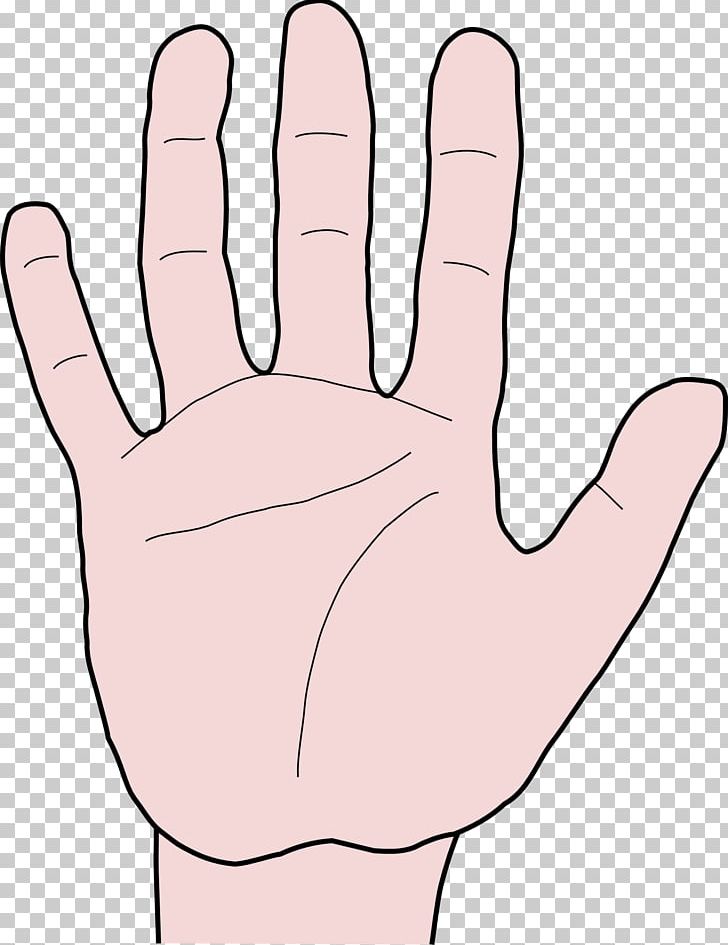 Middle Finger Thumb Hand Arm PNG, Clipart, Area, Arm, Face, Finger, Fist Free PNG Download