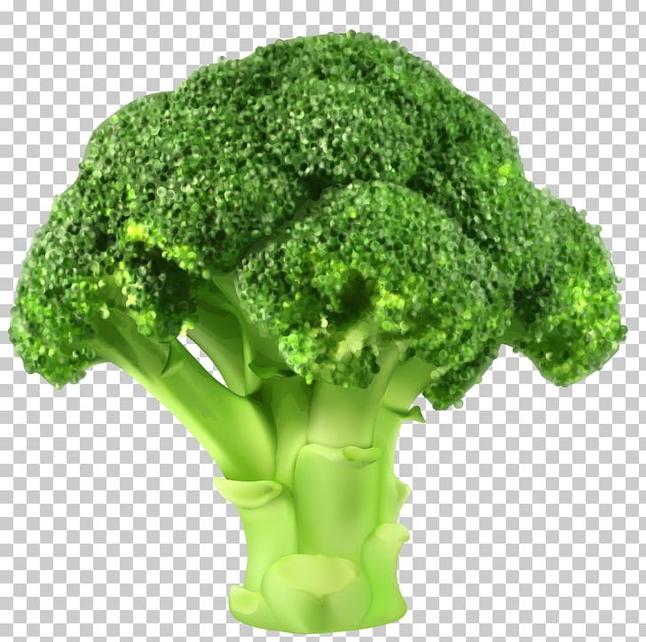Broccoli Cauliflower Vegetable PNG, Clipart, Brassica Oleracea, Broccoli, Can Stock Photo, Cauliflower, Computer Icons Free PNG Download