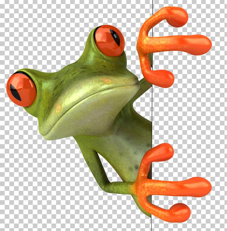Frog Stock Photography PNG, Clipart, Amphibian, Animals, Animation, Art, Can Stock Photo Free PNG Download