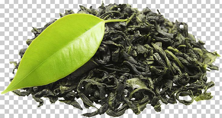 Green Tea Organic Food Tea Plant Energy Drink PNG, Clipart, Assam Tea, Bai Mudan, Bancha, Biluochun, Black Tea Free PNG Download