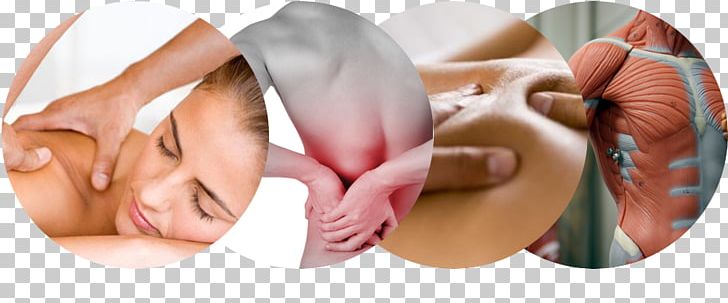 Thai Massage Muscle Apex Massage Therapy PNG, Clipart, Beauty, Cheek, Chin, Craniosacral Therapy, Ear Free PNG Download