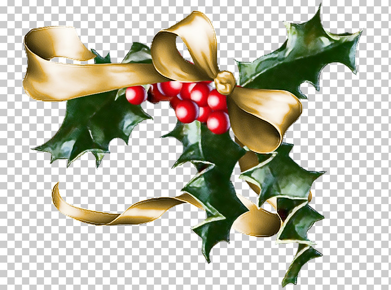 Holly PNG, Clipart, American Holly, Flower, Holly, Hollyleaf Cherry, Leaf Free PNG Download