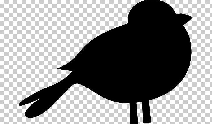 Bird PNG, Clipart, Animal, Beak, Bird, Black And White, Blackbird Cliparts Free PNG Download
