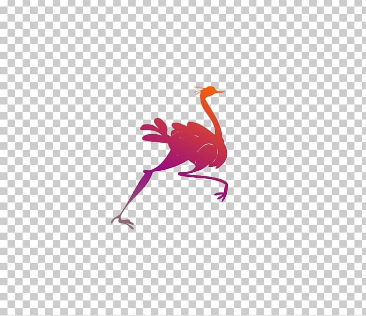 Common Ostrich Bird Emu PNG, Clipart, Animal, Animals, Athlete Running, Athletics Running, Beak Free PNG Download