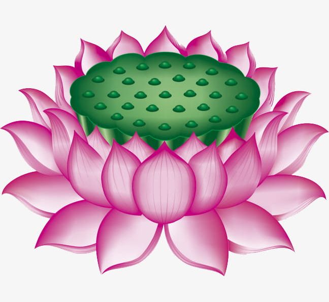 Lotus Throne PNG, Clipart, Cartoon, Flowers, Hand, Hand Painted, Lotus Free PNG Download